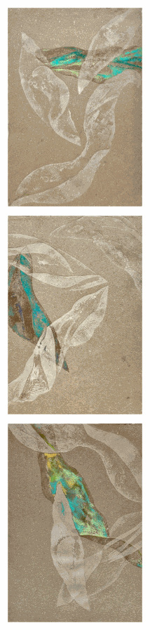 Helena Arellano Mayz, Série Hojarasca - Feuillage 09, 2025