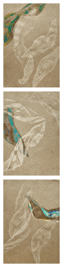 Helena Arellano Mayz, Série Hojarasca - Feuillage 09, 2025