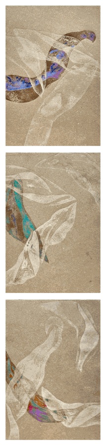 Helena Arellano Mayz, Série Hojarasca - Feuillage 09, 2025