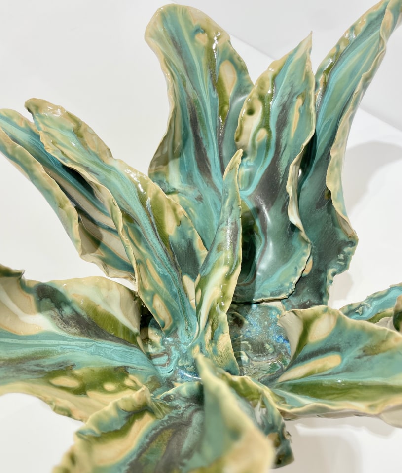 Helena Arellano Mayz, Agave, 2024