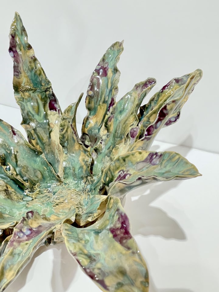 Helena Arellano Mayz, Agave, 2024