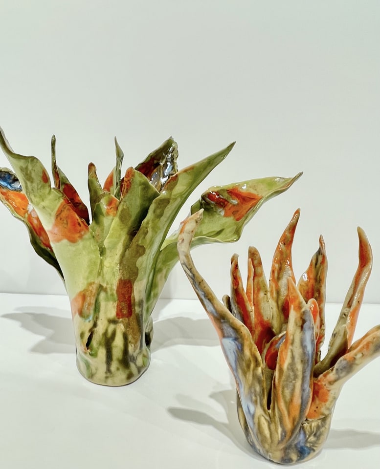 Helena Arellano Mayz, Aloe Vera, 2024