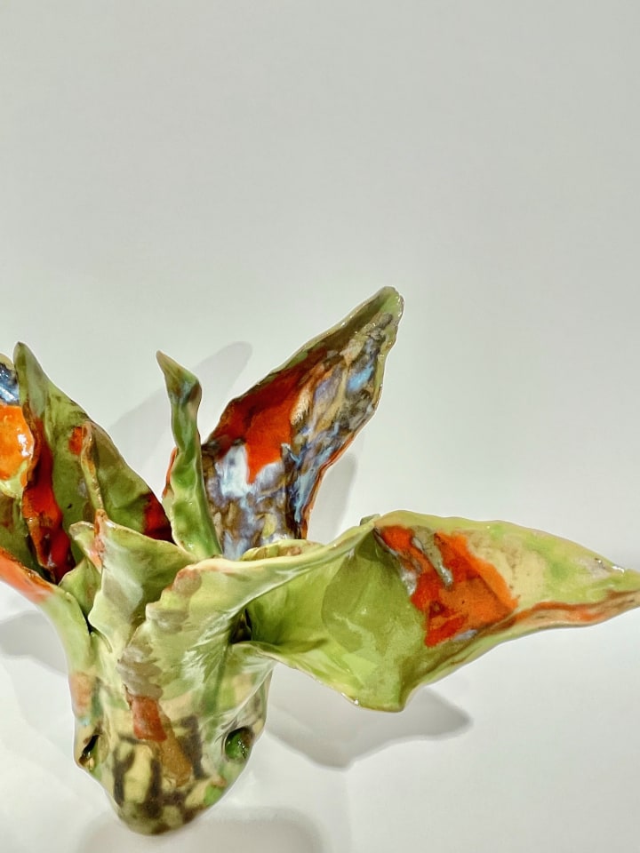 Helena Arellano Mayz, Aloe Vera, 2024