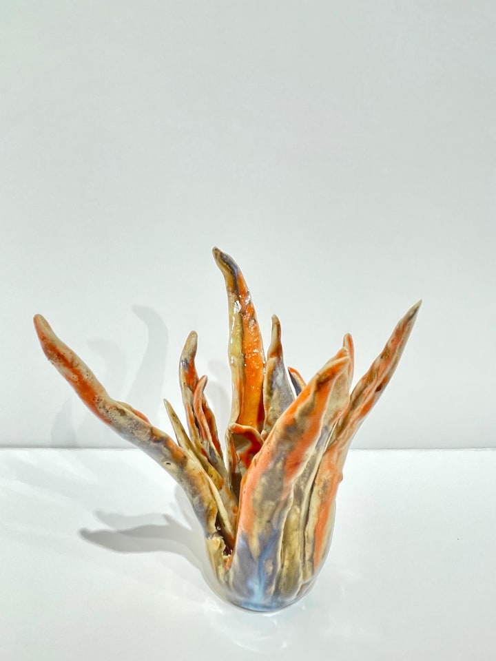 Helena Arellano Mayz, Aloe Vera, 2024