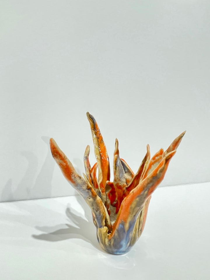 Helena Arellano Mayz, Aloe Vera, 2024