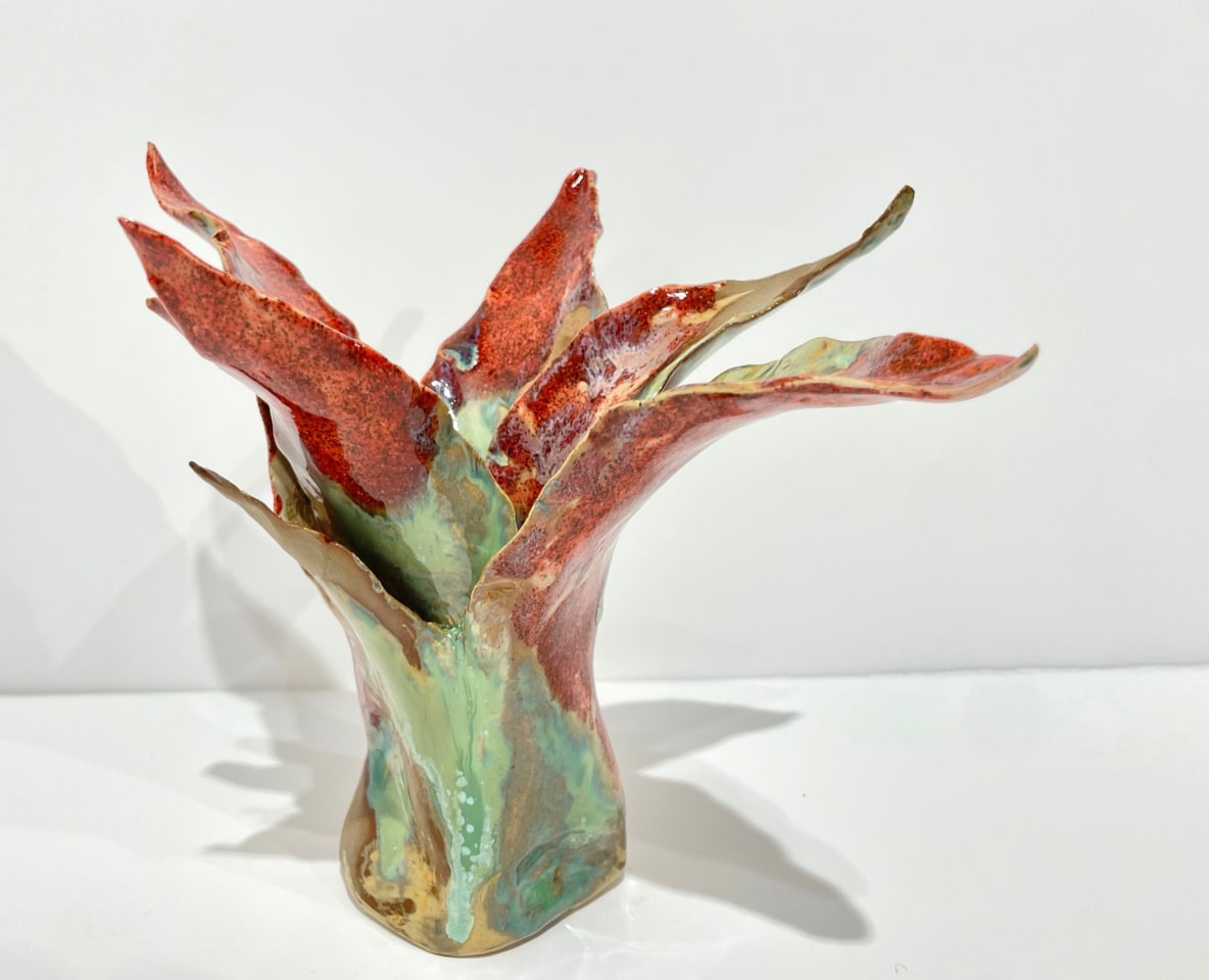 Helena Arellano Mayz, Agave, 2024