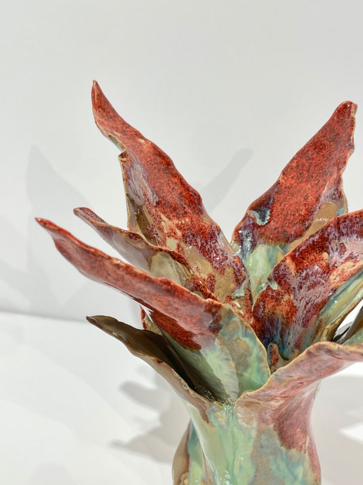 Helena Arellano Mayz, Agave, 2024