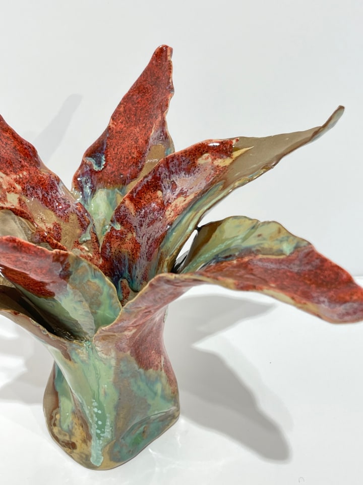Helena Arellano Mayz, Agave, 2024