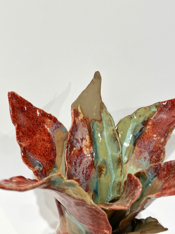 Helena Arellano Mayz, Agave, 2024