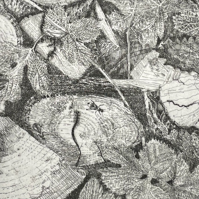 Charles Donker, Hop XV (Houblon XV), 2024