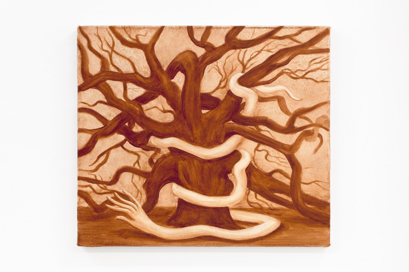 Paula Turmina, The oak tree above, 2024