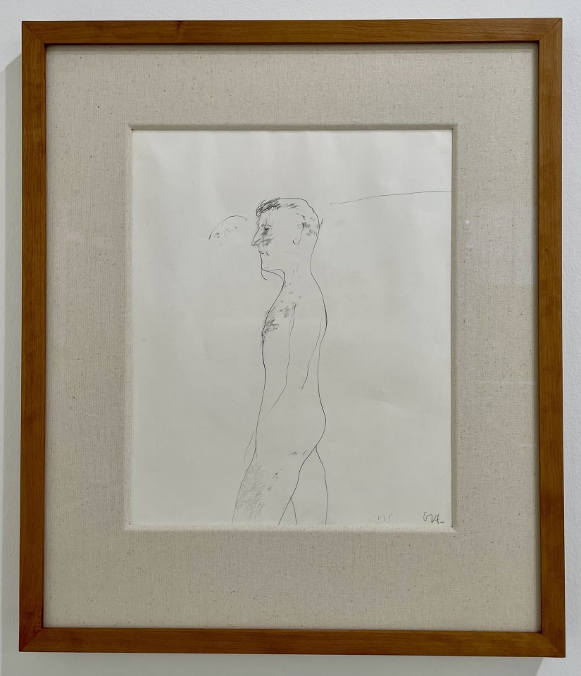 David Hockney, Untitled 'Study for Jungle Boy', 1963