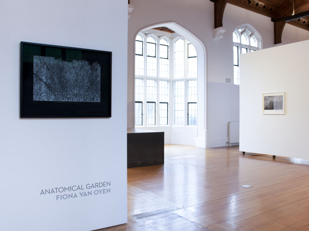Anatomical Garden by Fiona Van Oyen