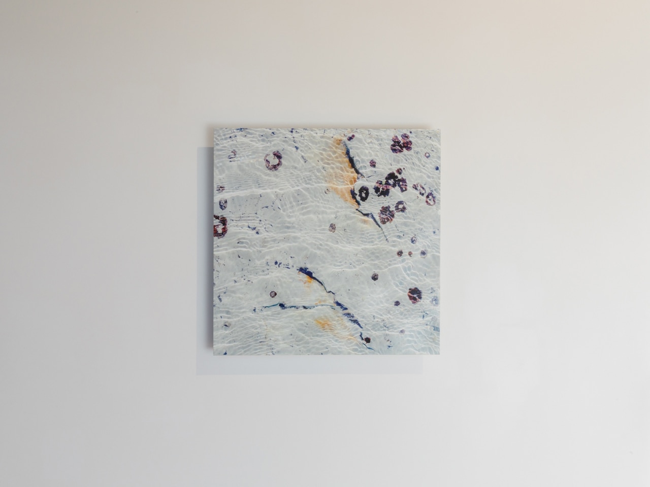 Cellular Memory by Elizabeth Thomson