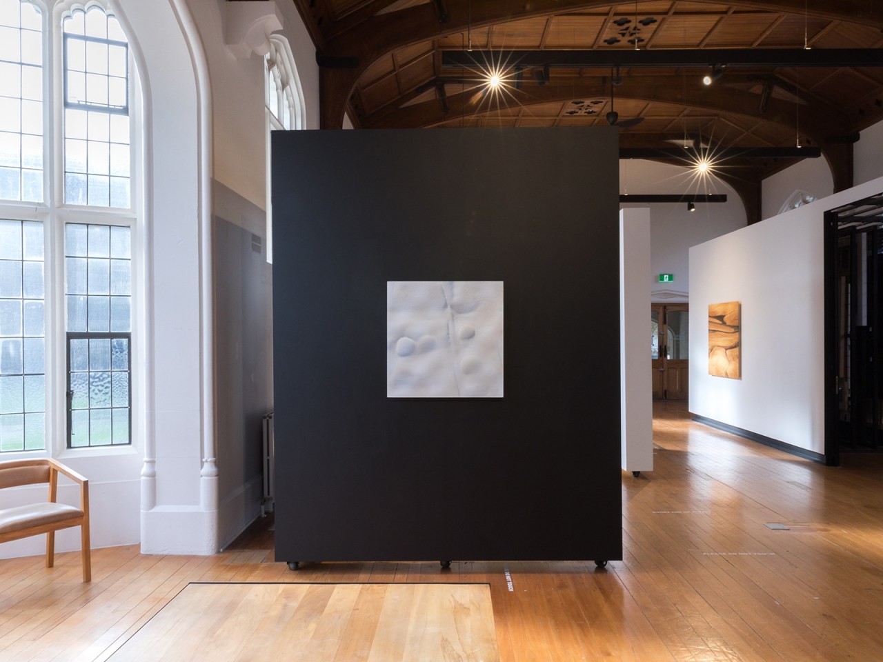 Cellular Memory by Elizabeth Thomson