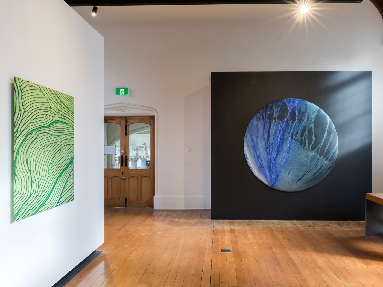 Cellular Memory by Elizabeth Thomson