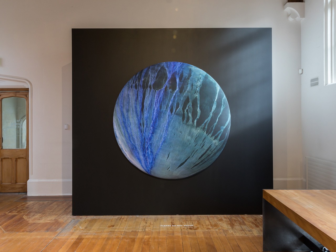 Cellular Memory by Elizabeth Thomson
