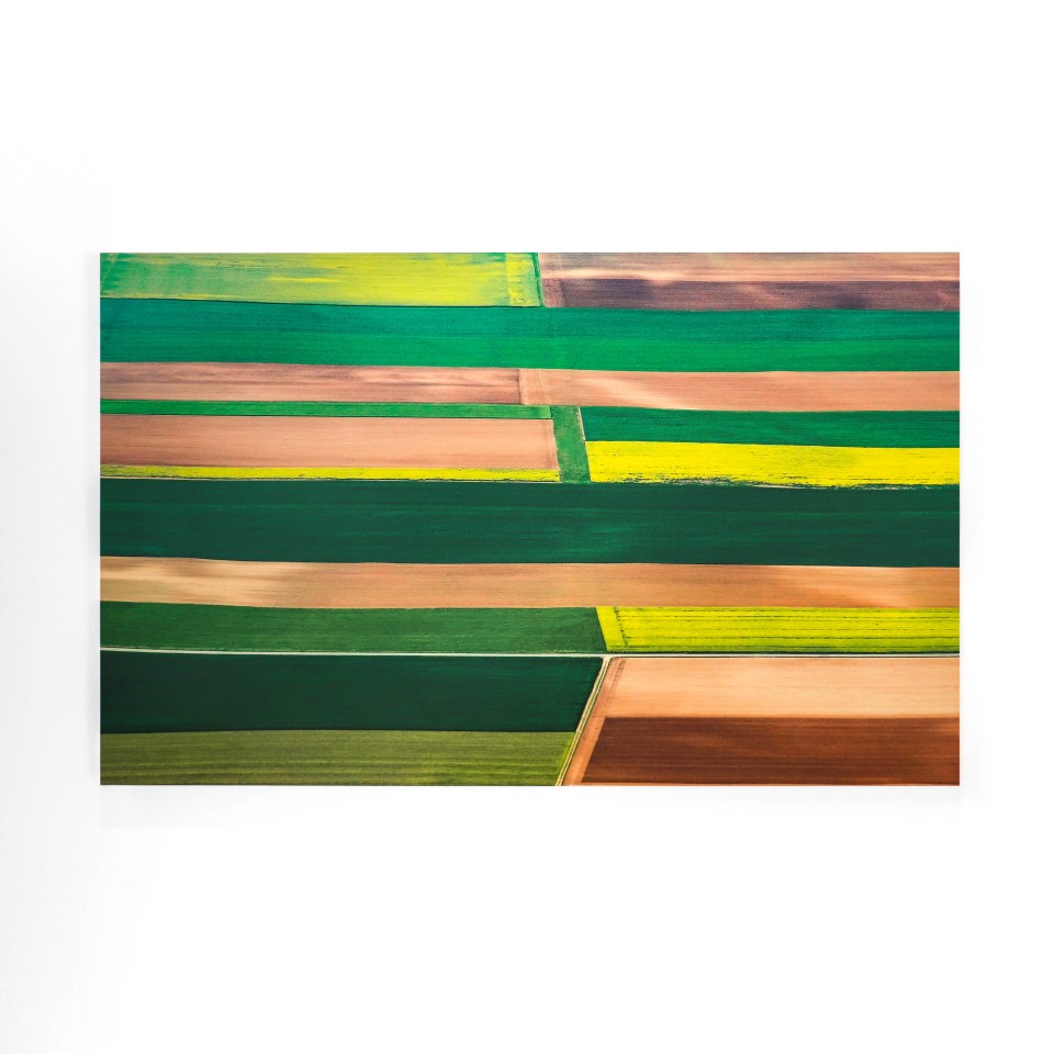 Elizabeth Thomson, Bill's Synthesis, 2020