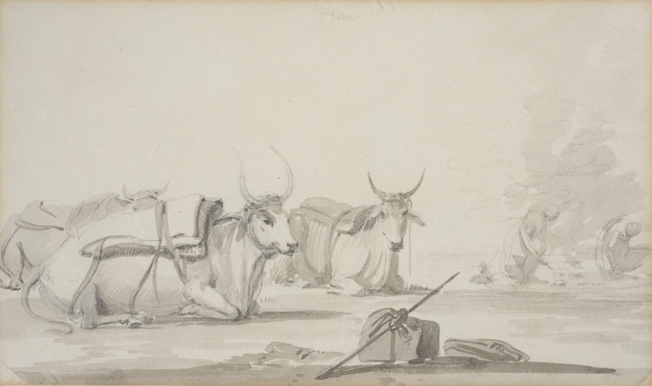 2. William Daniell R.A. (1769 - 1837), Bullocks , 1780-1790