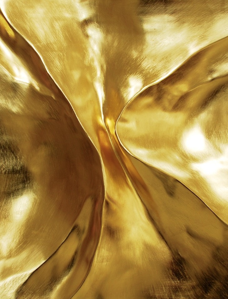 Gold Metamorphosis 5, 2011
