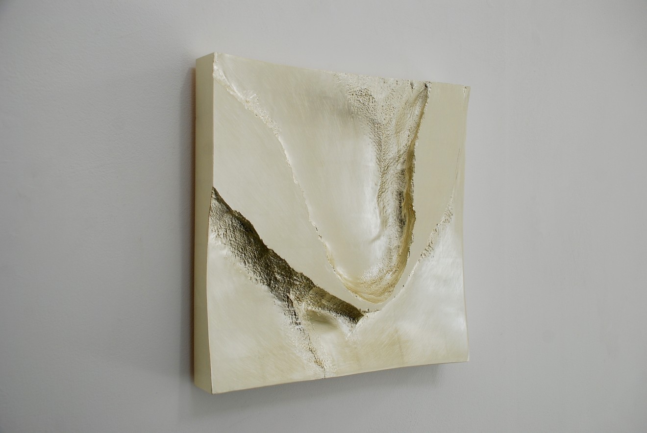 Form and Transformation 5
