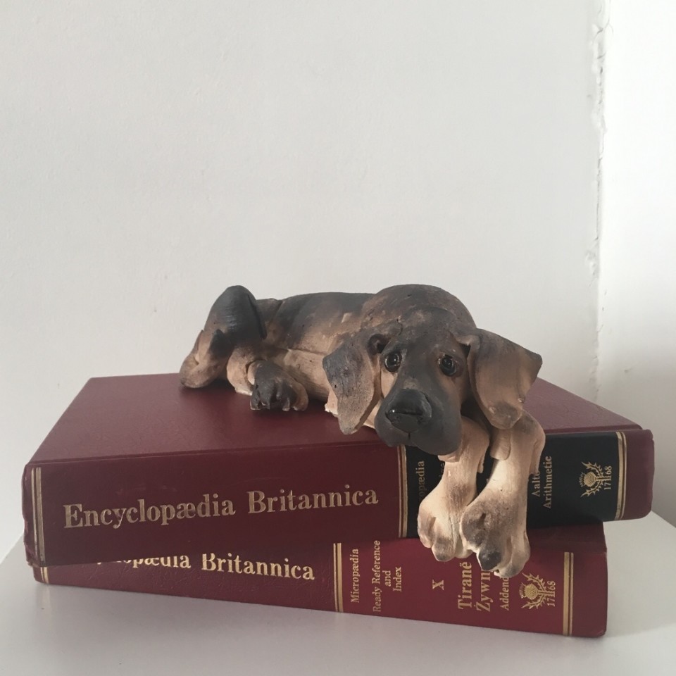 Virginia Dowe - Edwards, Small Lying Dog