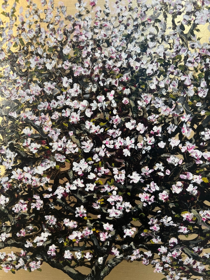 Jack Frame, Lady Jane Grey, Apple Blossom, 2019