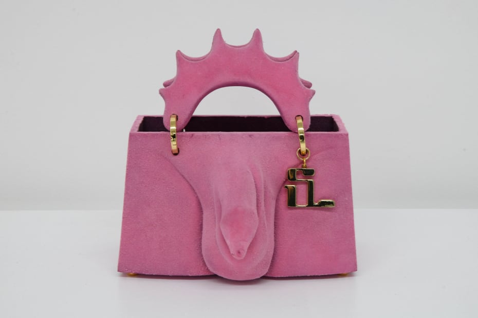 Stef Van Looveren, DPA bag, pink (dick), 2020