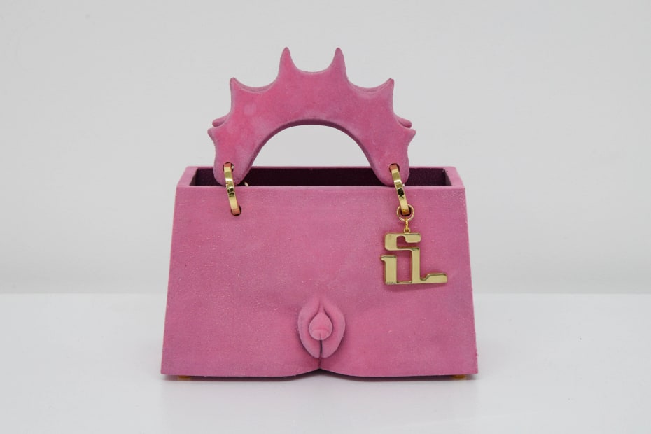 Stef Van Looveren, DPA bag, pink (intersex), 2020