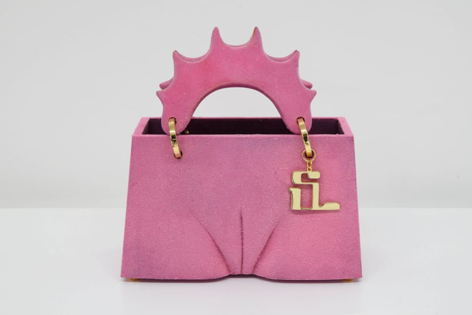 Stef Van Looveren, DPA bag, pink ( pussy), 2020