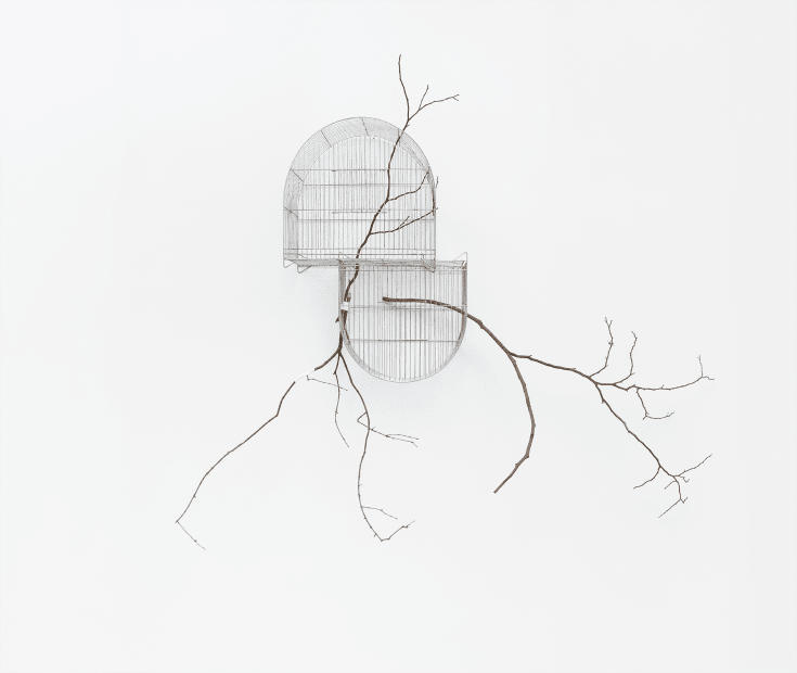 Isadora Soares Belletti, Experimentos para uma estação de cura (autorretrato) [Experiments for a healing station (self-portrait)], 2023/2025