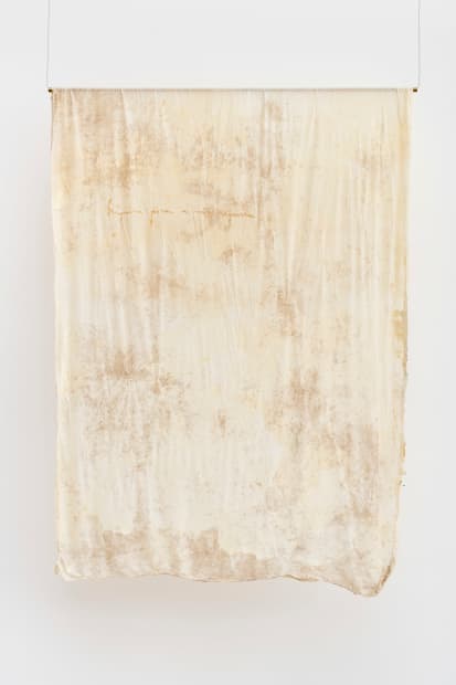 Bianca Madruga, Nancy II, da série [from the series] Testemunhar sem língua [Witnessing Without a Tongue], 2024