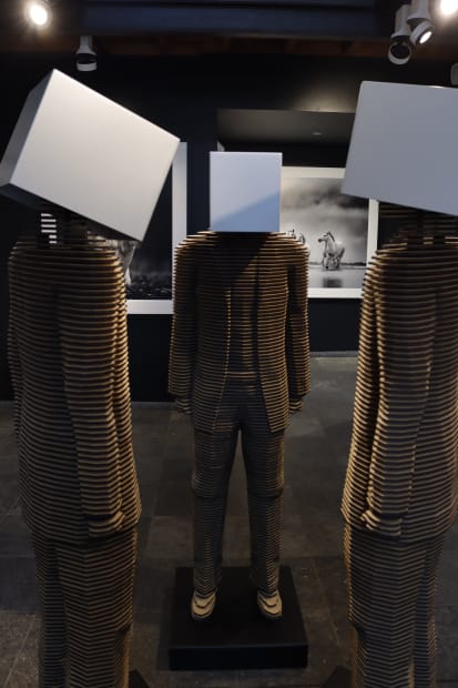 MARIANNE TURCK, LOOKING FOR CONNECTION