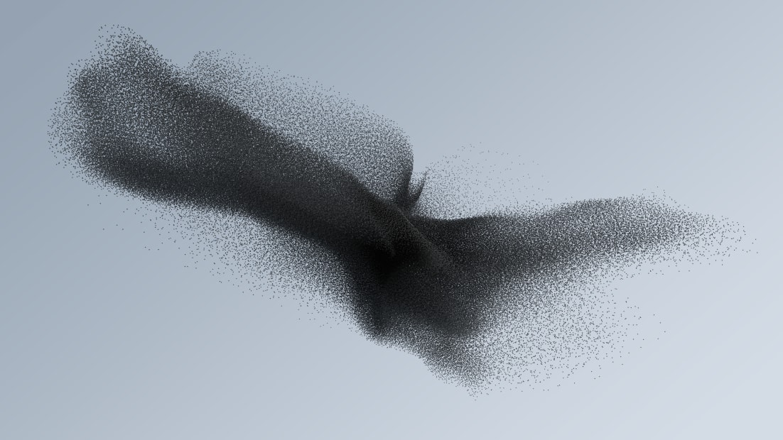 Swarm Study / I, 2019