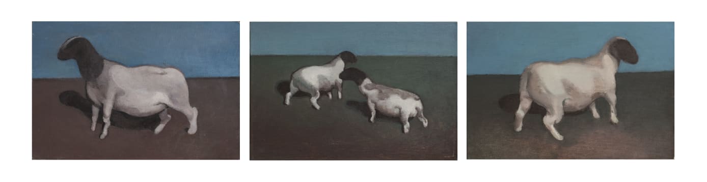 Landscape (Cheshmandaz), 2019