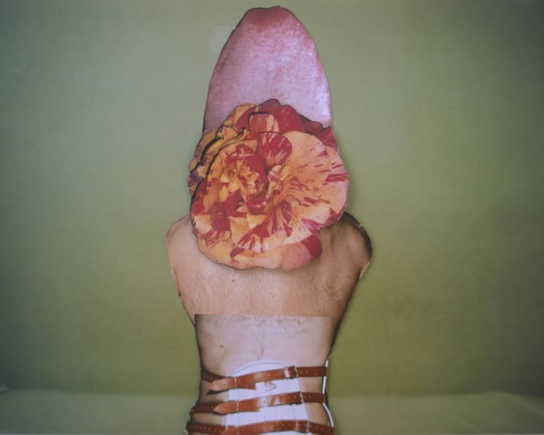 Alborz Kazemi, Untitled, 2017