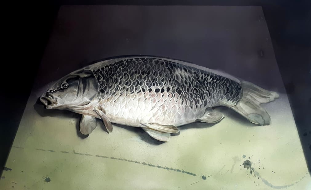 Dead Fish (Body in Black), 2020