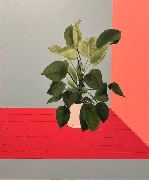 Afshin Sadipoor, Untitled, 2024