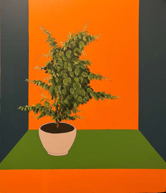 Afshin Sadipoor, Untitled, 2024