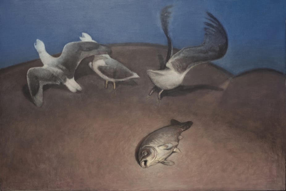 Habitant (Moghim), 2019