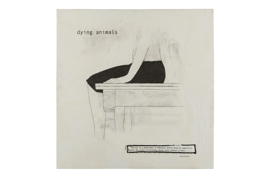 Juliao Sarmento, Dying animals, 2004