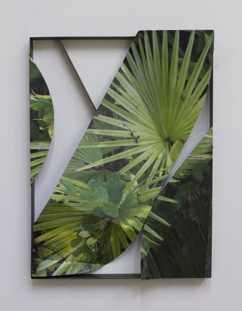 Letha Wilson, Palm Fronds Steel, 2021