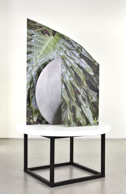 Letha Wilson, Palm Fronds Philodendron Florida, 2021