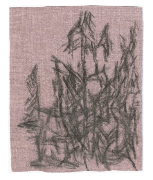 Untitled, 2022