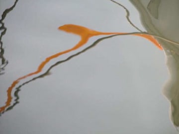 Joseph La Piana, Orange Sperm (SHM/612), 2006