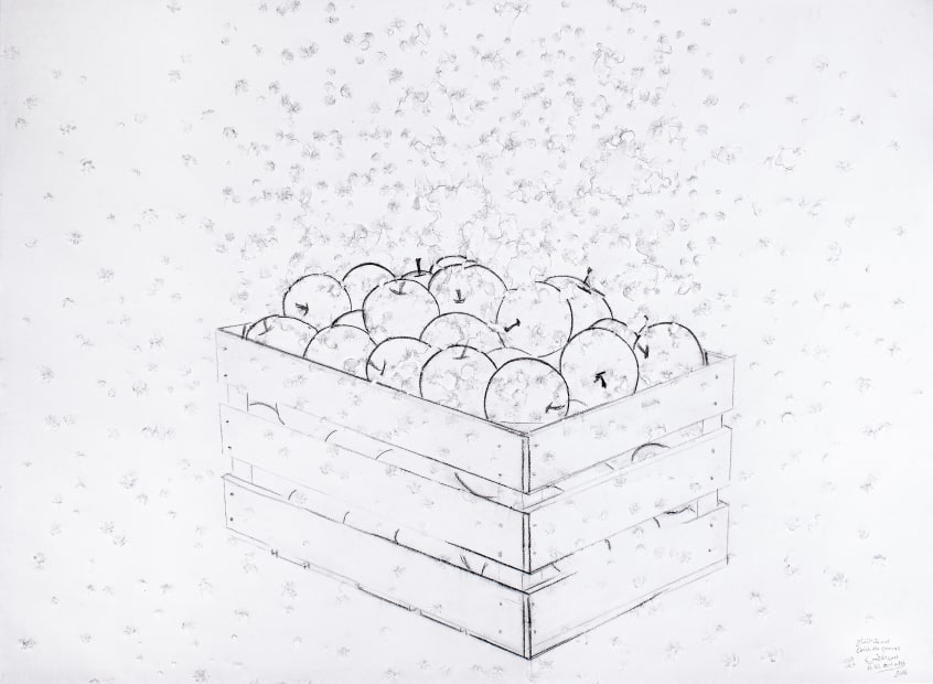 Caisse de pommes (Crate of apples), 2016