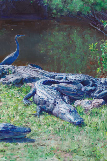 Everglades, 2021