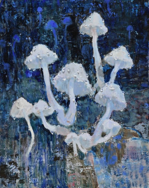 White Mushrooms, 2022