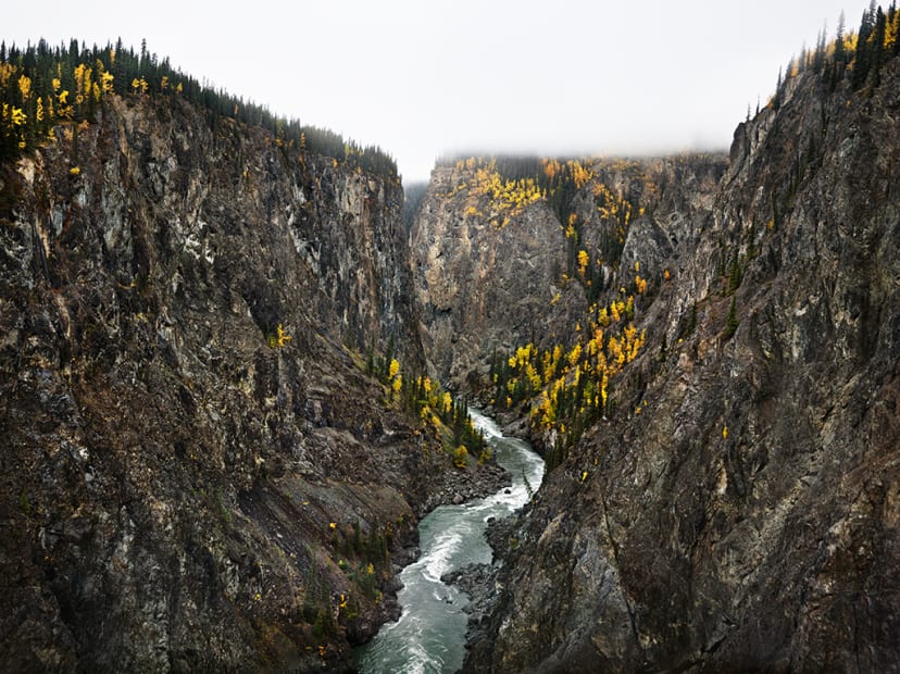 Stikine River, Northern British Columbia, Canada, 2012