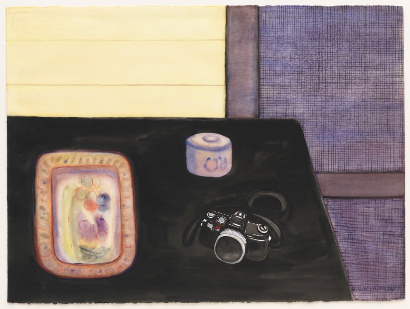Camera and Mexican Plate, 1992